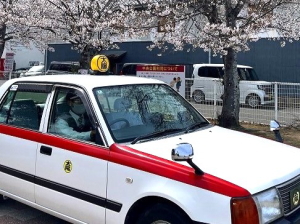 京都府から来ました